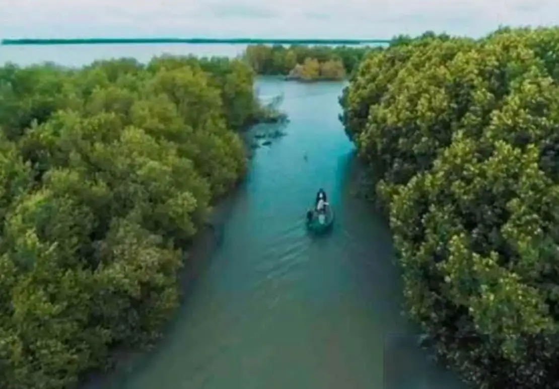 OTT BPN Jadi Alarm, Muara Gembong Menunggu Kejelasan 14.000 Hektare Lahan Eks Kawasan Hutan